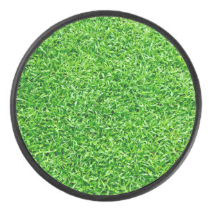 Herbe verte