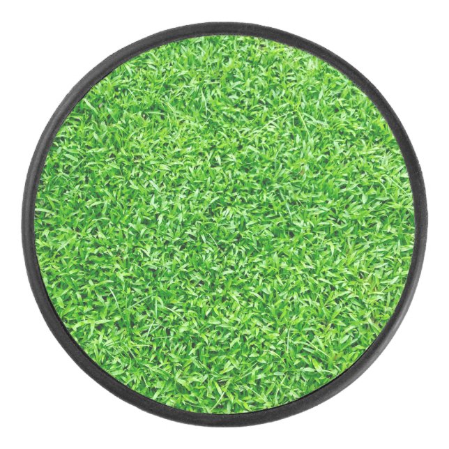 Herbe verte (Devant)