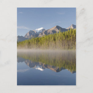 Herbert Lake at Icefields Parkway Alberta Canada Postcard