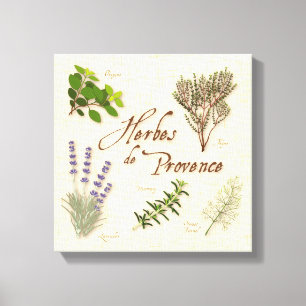 Herbes de Provence, Lavender, Thyme, Oregano Canvas Print