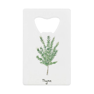 Herbes de thym vert plantes de jardin botaniques v