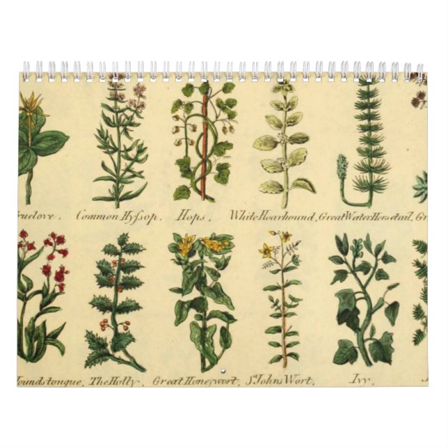 HERBS AND BOTANICALS, Medieval Vintage Calendar (Cover)