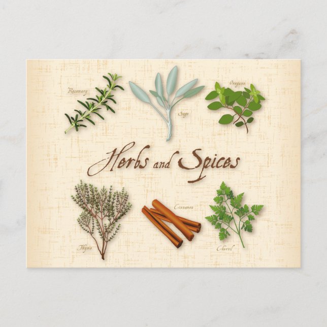 Herbs and Spices Postcard (Front)