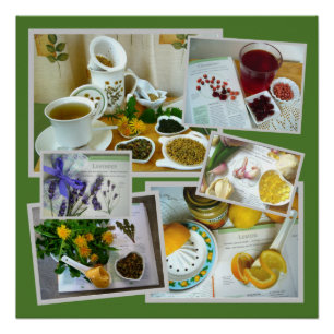 Herbs for Health, Herbal Treatments Collage Poster