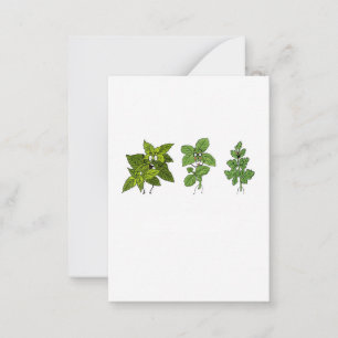Herbs, herb themed card