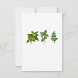 Herbs, herb themed thank you card