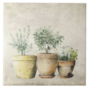 Herbs in Pots Mediterrean Rustic  Tile