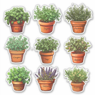 Herbs in Terracotta Pots Stickers