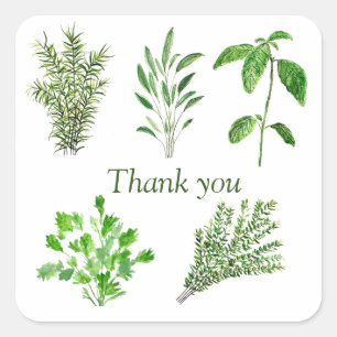 Herbs Rosemary Sage Thyme Mint Parsley Thank You Square Sticker