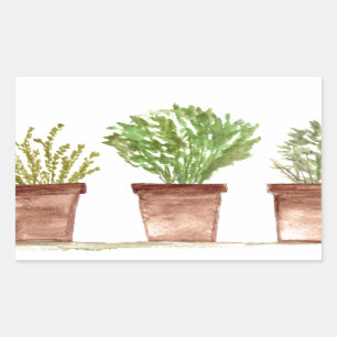 Herbs sage, rosemary, thyme sticker