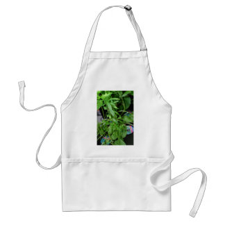 Herbs Standard Apron