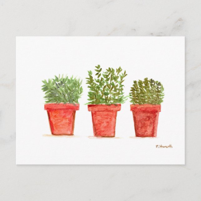 Herbs thyme rosemary mint postcard (Front)