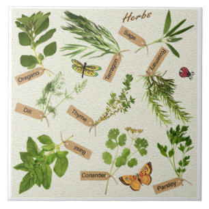 herbs tile