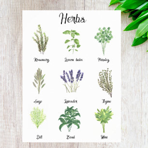 Herbs Watercolor Sage Thyme Rosemary Kitchen Poster