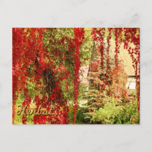 Herbst / Autumn Postcard