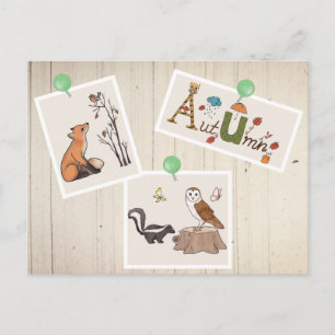 Herbstbild Wald Postcard