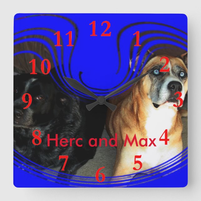 Herc and Max Square Wall Clock (Front)
