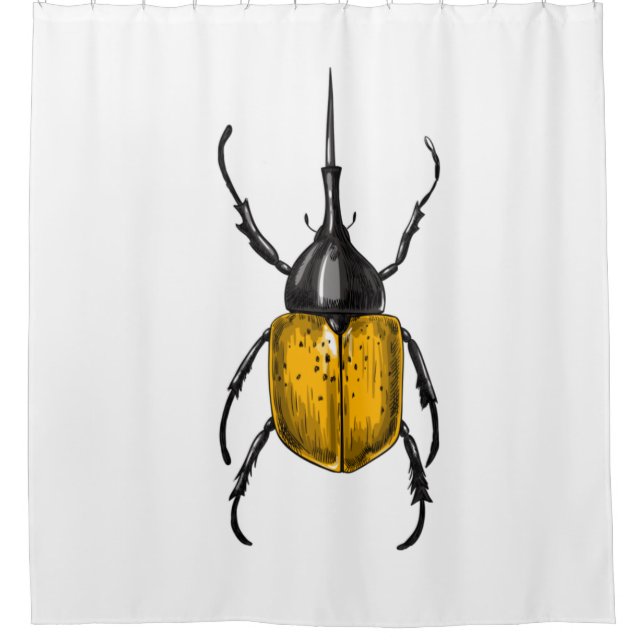Hercules beetle (Front)