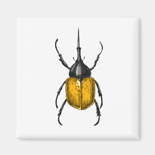 Hercules beetle magnet
