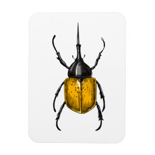 Hercules beetle magnet