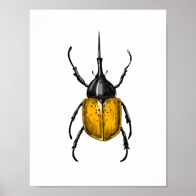Hercules beetle poster (Front)