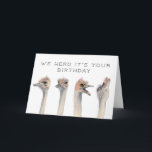 Herd Its Your Birthday | Ostrich Birds Card<br><div class="desc">Funny birthday card featuring hand painted watercolor ostrich birds with dramatic expressions. The text above the animal says "We herd it's your birthday." Humorous cards for your friends and families.</div>