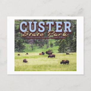 HERD OF BISON - CUSTER STATE PARK - SOUTH DAKOTA POSTCARD