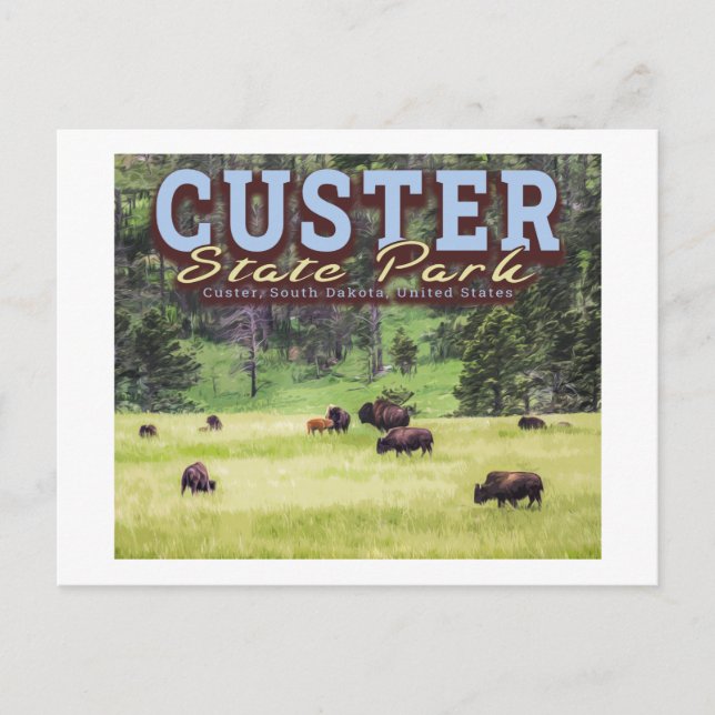 HERD OF BISON - CUSTER STATE PARK - SOUTH DAKOTA POSTCARD (Front)