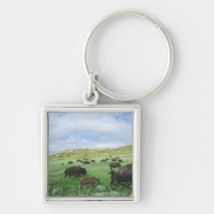 Herd of bison graze prairie grass at Theodore Keychain
