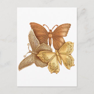 Herd of Butterflies Postcard