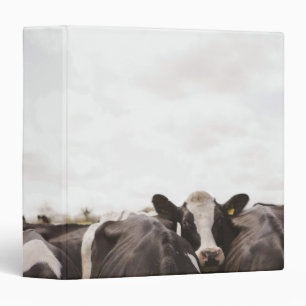 Herd of cattle and overcast sky 2 binder