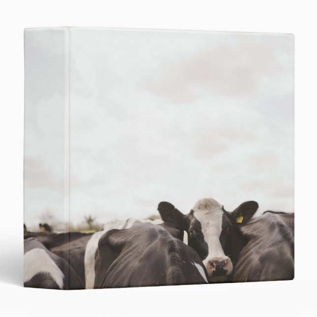 Herd of cattle and overcast sky 2 binder (Front/Spine)