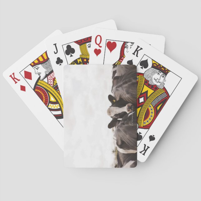 Herd of cattle and overcast sky 2 playing cards (Back)