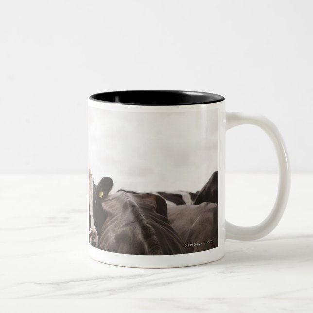 Herd of cattle and overcast sky 2 Two-Tone coffee mug (Right)