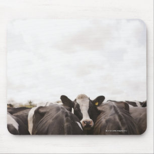 Herd of cattle and overcast sky mouse pad