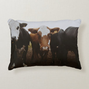 HERD OF COWS ACCENT PILLOW