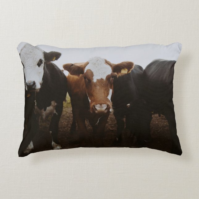 HERD OF COWS ACCENT PILLOW (Front)
