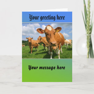 Herd of cows greeting card