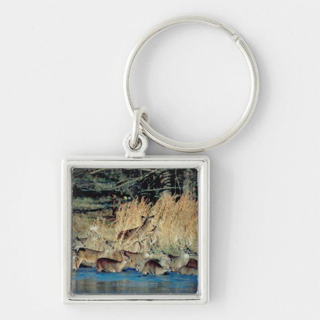 Herd of deer 2 keychain (Front)