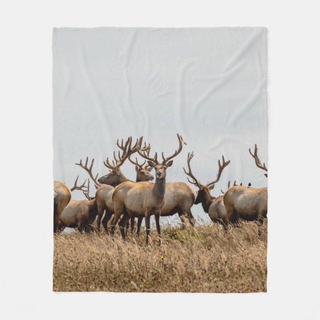 HERD OF DEER FLEECE BLANKET (Front)