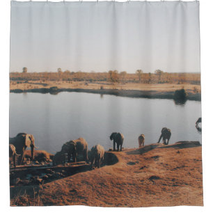 HERD OF ELEPHANT DRINKING WATER FROM LAKE