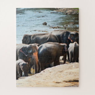 Herd of Elephants with Baby in Water Jigsaw Puzzle