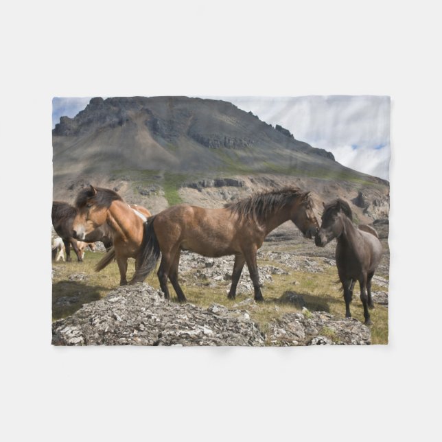 Herd Of Horses, Near Hofn, Iceland Fleece Blanket (Front (Horizontal))