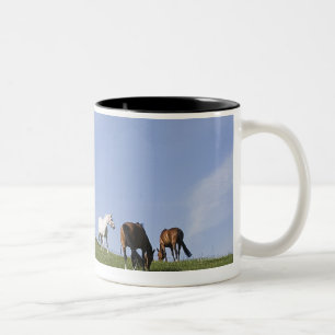herd of horses on meadow Two-Tone coffee mug