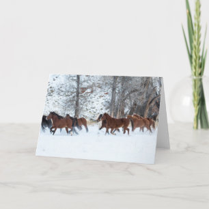 Herd of Horses Running in Snow Card