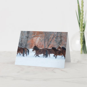 Herd of Horses Running in Snow Card