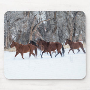 Herd of Horses Running in Winters Snow Mouse Pad