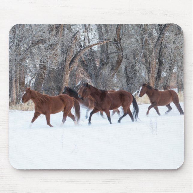 Herd of Horses Running in Winters Snow Mouse Pad (Front)