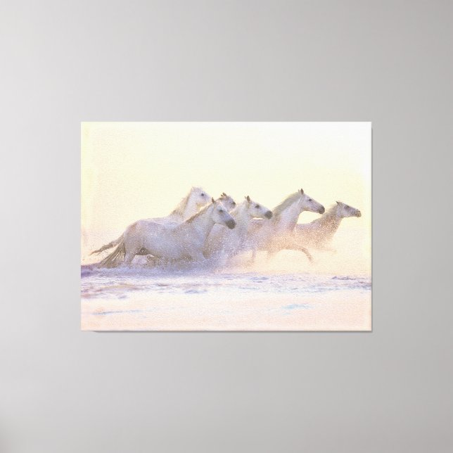 Herd of Horses Running on the Beach Canvas Print (Front)