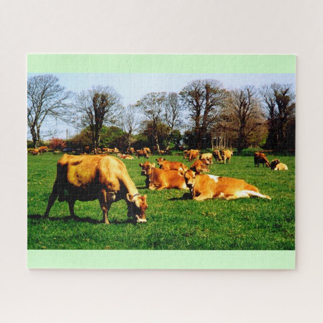 Herd of Jersey cows Jigsaw Puzzle (Horizontal)